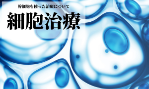 MSC細胞