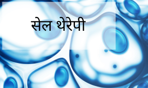 स्टेम सेल(Stem cell)