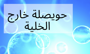 حويصلة خارج الخلية（EV)