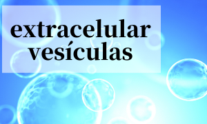 Exosomas extracelulares