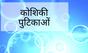 एक्सोसोम(EV)