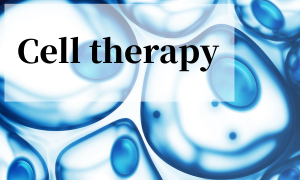 Stem cell